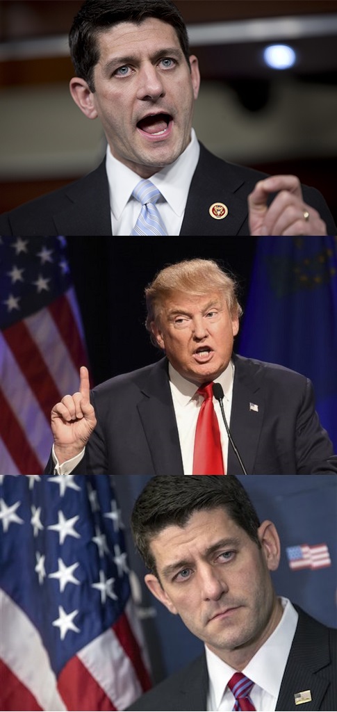 Unhappy Paul Ryan Blank Meme Template