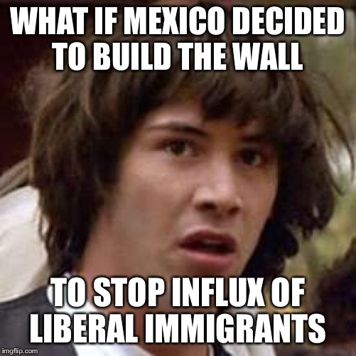 Conspiracy Keanu Meme | WHAT IF MEXICO DECIDED TO BUILD THE WALL; TO STOP INFLUX OF LIBERAL IMMIGRANTS | image tagged in memes,conspiracy keanu | made w/ Imgflip meme maker