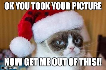 Christmas Grumpy Cat | OK YOU TOOK YOUR PICTURE; NOW GET ME OUT OF THIS!! | image tagged in christmas grumpy cat | made w/ Imgflip meme maker