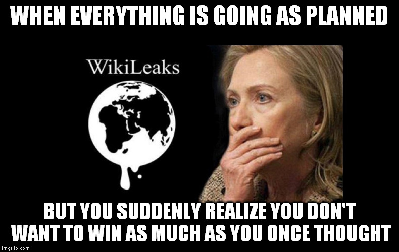 WHEN EVERYTHING IS GOING AS PLANNED; BUT YOU SUDDENLY REALIZE YOU DON'T WANT TO WIN AS MUCH AS YOU ONCE THOUGHT | image tagged in hillary,election,scandal,company you keep,decisions one makes | made w/ Imgflip meme maker