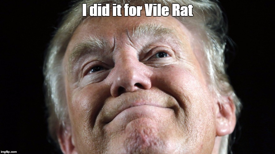 I did it for Vile Rat | image tagged in trump,eve,vile rat,sean smith,benghazi | made w/ Imgflip meme maker