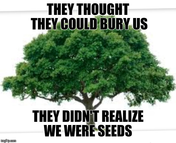 THEY THOUGHT THEY COULD BURY US; THEY DIDN'T REALIZE WE WERE SEEDS | made w/ Imgflip meme maker