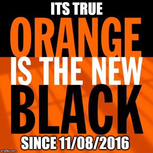 ITS TRUE; SINCE 11/08/2016 | image tagged in election 2016 | made w/ Imgflip meme maker