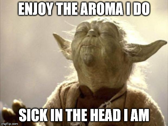 ENJOY THE AROMA I DO SICK IN THE HEAD I AM | made w/ Imgflip meme maker