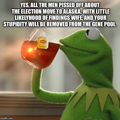 But That's None Of My Business Meme | YES, ALL THE MEN PISSED OFF ABOUT THE ELECTION MOVE TO ALASKA, WITH LITTLE LIKELYHOOD OF FINDINGS WIFE, AND YOUR STUPIDITY WILL BE REMOVED F | image tagged in memes,but thats none of my business,kermit the frog | made w/ Imgflip meme maker
