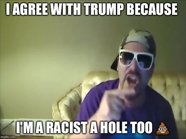 I AGREE WITH TRUMP BECAUSE; I'M A RACIST A HOLE TOO 💩 | image tagged in chicken nuggets,keemstar | made w/ Imgflip meme maker