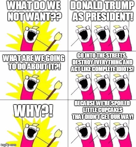 What Do We Want 3 | WHAT DO WE NOT WANT?? DONALD TRUMP AS PRESIDENT! WHAT ARE WE GOING TO DO ABOUT IT?! GO INTO THE STREETS, DESTROY EVERYTHING AND ACT LIKE COMPLETE IDIOTS! BECAUSE WE'RE SPOILED LITTLE CUPCAKES THAT DIDN'T GET OUR WAY! WHY?! | image tagged in memes,what do we want 3 | made w/ Imgflip meme maker