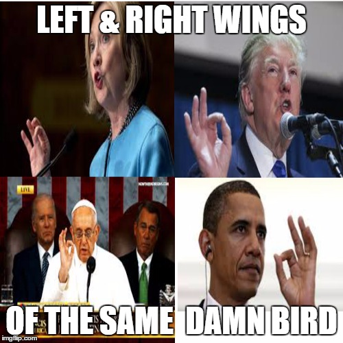 Trumped | LEFT & RIGHT WINGS; OF THE SAME  DAMN BIRD | image tagged in president | made w/ Imgflip meme maker