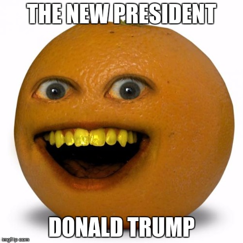 Annoying Orange | THE NEW PRESIDENT; DONALD TRUMP | image tagged in annoying orange | made w/ Imgflip meme maker