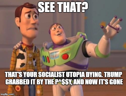 X, X Everywhere Meme | SEE THAT? THAT'S YOUR SOCIALIST UTOPIA DYING. TRUMP GRABBED IT BY THE P^$$Y, AND NOW IT'S GONE | image tagged in memes,x x everywhere | made w/ Imgflip meme maker