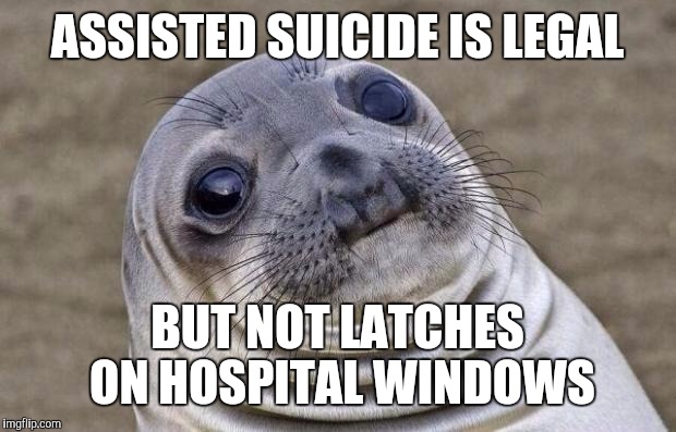 Really?
 | ASSISTED SUICIDE IS LEGAL; BUT NOT LATCHES ON HOSPITAL WINDOWS | image tagged in memes,awkward moment sealion | made w/ Imgflip meme maker