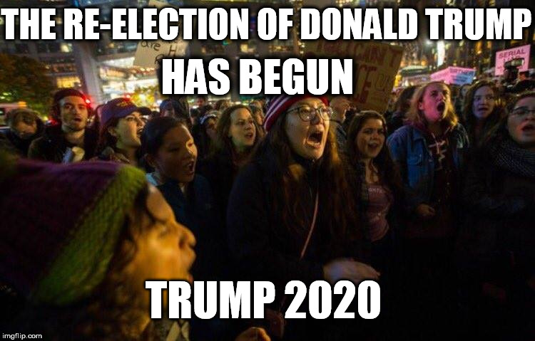 THE RE-ELECTION OF DONALD TRUMP; HAS BEGUN; TRUMP 2020 | image tagged in trump 2020 | made w/ Imgflip meme maker