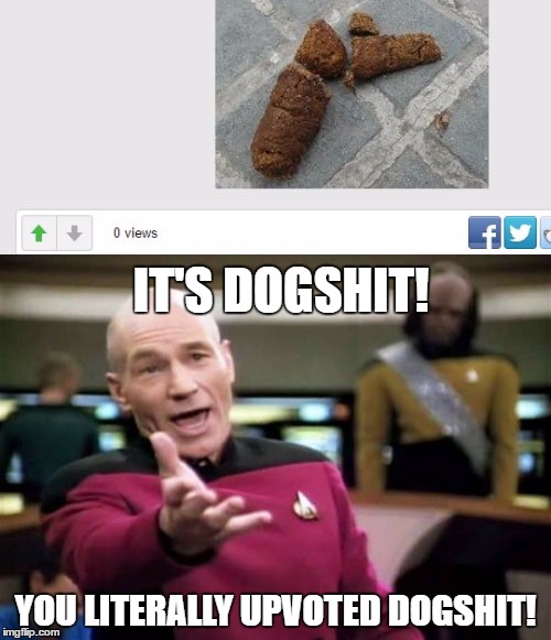 upvoting dogshit like stupid. | IT'S DOGSHIT! YOU LITERALLY UPVOTED DOGSHIT! | image tagged in picard wtf,dogshit | made w/ Imgflip meme maker