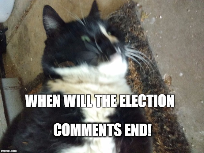make it stop! | WHEN WILL THE ELECTION; COMMENTS END! | image tagged in election 2016,trump 2016,donald trump,president 2016,presidential election | made w/ Imgflip meme maker