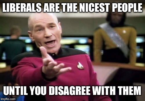 Picard Wtf Meme | LIBERALS ARE THE NICEST PEOPLE; UNTIL YOU DISAGREE WITH THEM | image tagged in memes,picard wtf,donald trump,election 2016 | made w/ Imgflip meme maker