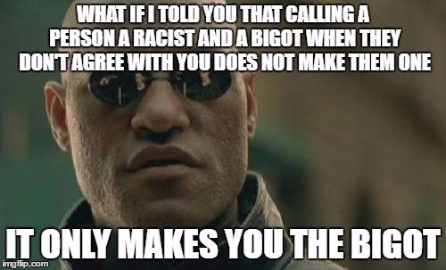 image tagged in what if i told you bigot | made w/ Imgflip meme maker