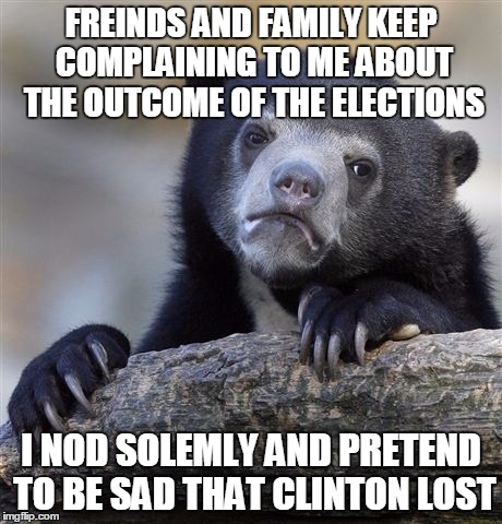 Confession Bear Meme | FREINDS AND FAMILY KEEP COMPLAINING TO ME ABOUT THE OUTCOME OF THE ELECTIONS; I NOD SOLEMLY AND PRETEND TO BE SAD THAT CLINTON LOST | image tagged in memes,confession bear | made w/ Imgflip meme maker