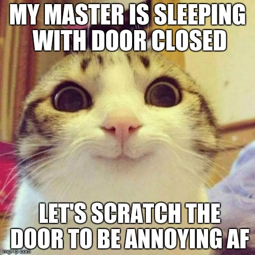 Smiling Cat | MY MASTER IS SLEEPING WITH DOOR CLOSED; LET'S SCRATCH THE DOOR TO BE ANNOYING AF | image tagged in memes,smiling cat | made w/ Imgflip meme maker