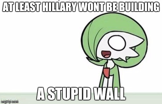 Gardevoir | AT LEAST HILLARY WONT BE BUILDING A STUPID WALL | image tagged in gardevoir | made w/ Imgflip meme maker
