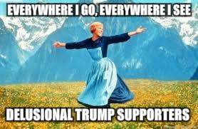 Look At All These | EVERYWHERE I GO, EVERYWHERE I SEE; DELUSIONAL TRUMP SUPPORTERS | image tagged in memes,look at all these | made w/ Imgflip meme maker