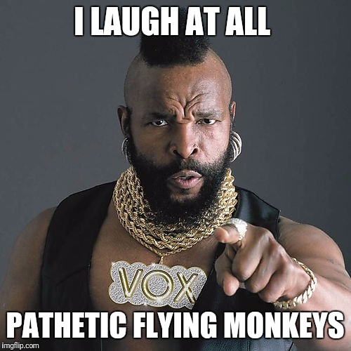 Mr T Pity The Fool Meme | I LAUGH AT ALL; PATHETIC FLYING MONKEYS | image tagged in memes,mr t pity the fool | made w/ Imgflip meme maker