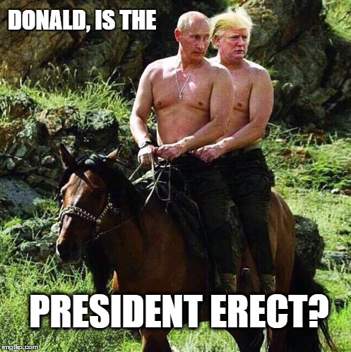 Trumputin | DONALD, IS THE; PRESIDENT ERECT? | image tagged in putin,trump,president elect,election 2016,vladimir putin,donald trump | made w/ Imgflip meme maker