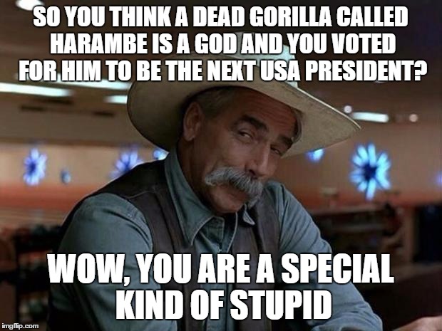 special kind of stupid | SO YOU THINK A DEAD GORILLA CALLED HARAMBE IS A GOD AND YOU VOTED FOR HIM TO BE THE NEXT USA PRESIDENT? WOW, YOU ARE A SPECIAL KIND OF STUPID | image tagged in special kind of stupid | made w/ Imgflip meme maker