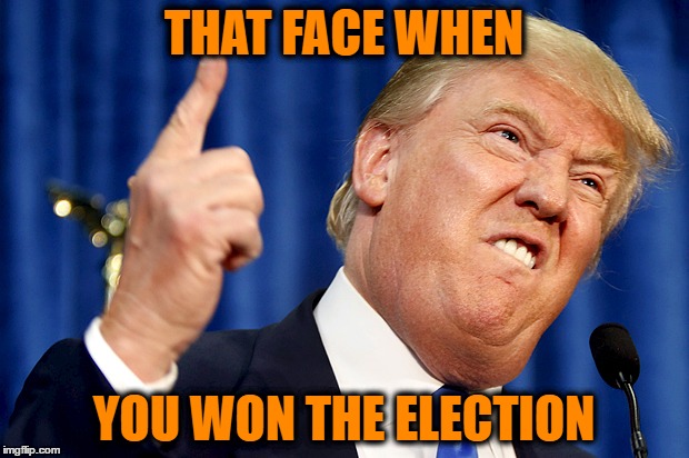 Donald Trump | THAT FACE WHEN; YOU WON THE ELECTION | image tagged in donald trump | made w/ Imgflip meme maker