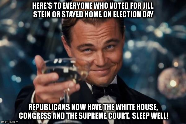 Leonardo Dicaprio Cheers Meme | HERE'S TO EVERYONE WHO VOTED FOR JILL STEIN OR STAYED HOME ON ELECTION DAY; REPUBLICANS NOW HAVE THE WHITE HOUSE, CONGRESS AND THE SUPREME COURT.  SLEEP WELL! | image tagged in memes,leonardo dicaprio cheers | made w/ Imgflip meme maker