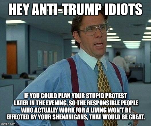 That Would Be Great Meme | HEY ANTI-TRUMP IDIOTS; IF YOU COULD PLAN YOUR STUPID PROTEST LATER IN THE EVENING, SO THE RESPONSIBLE PEOPLE WHO ACTUALLY WORK FOR A LIVING WON'T BE EFFECTED BY YOUR SHENANIGANS, THAT WOULD BE GREAT. | image tagged in memes,that would be great | made w/ Imgflip meme maker