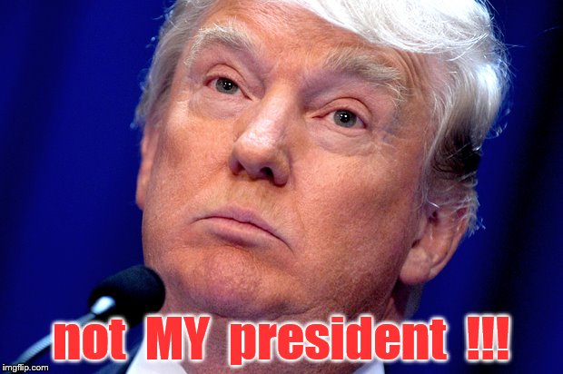 Presidentially Pissed | not  MY  president  !!! | image tagged in election,trump,impeach,president,douch | made w/ Imgflip meme maker