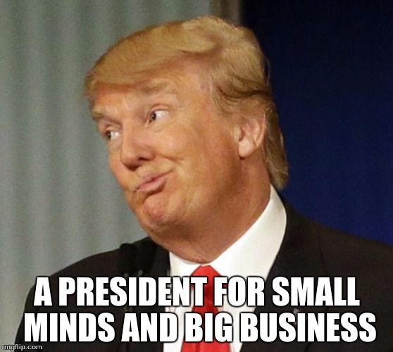This is not the President of the People | A PRESIDENT FOR SMALL MINDS AND BIG BUSINESS | image tagged in donald drumpf,trump | made w/ Imgflip meme maker