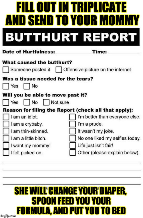 Butthurt Report | FILL OUT IN TRIPLICATE AND SEND TO YOUR MOMMY SHE WILL CHANGE YOUR DIAPER, SPOON FEED YOU YOUR FORMULA, AND PUT YOU TO BED | image tagged in butthurt report | made w/ Imgflip meme maker