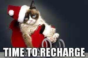 Compliance Cat Holidays | TIME TO RECHARGE | image tagged in compliance cat holidays | made w/ Imgflip meme maker