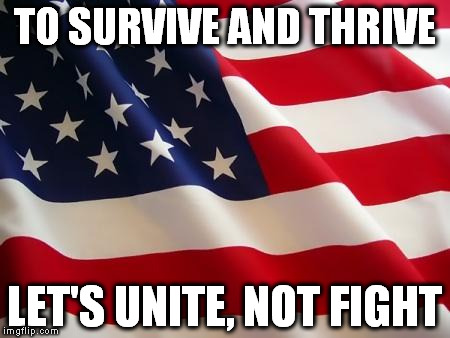 American flag | TO SURVIVE AND THRIVE; LET'S UNITE, NOT FIGHT | image tagged in american flag | made w/ Imgflip meme maker