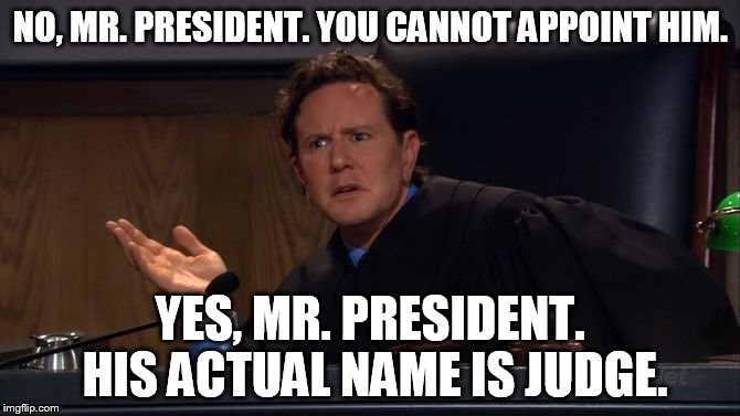 NO, MR. PRESIDENT. YOU CANNOT APPOINT HIM. YES, MR. PRESIDENT. HIS ACTUAL NAME IS JUDGE. | image tagged in judge | made w/ Imgflip meme maker