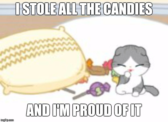 I STOLE ALL THE CANDIES; AND I'M PROUD OF IT | image tagged in cat | made w/ Imgflip meme maker