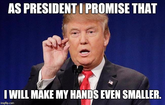 AS PRESIDENT I PROMISE THAT; I WILL MAKE MY HANDS EVEN SMALLER. | image tagged in small hands trump | made w/ Imgflip meme maker