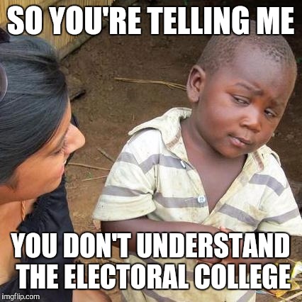 Third World Skeptical Kid Meme | SO YOU'RE TELLING ME YOU DON'T UNDERSTAND THE ELECTORAL COLLEGE | image tagged in memes,third world skeptical kid | made w/ Imgflip meme maker