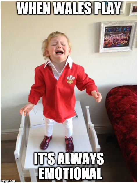 wales | WHEN WALES PLAY; IT'S ALWAYS EMOTIONAL | image tagged in wales | made w/ Imgflip meme maker