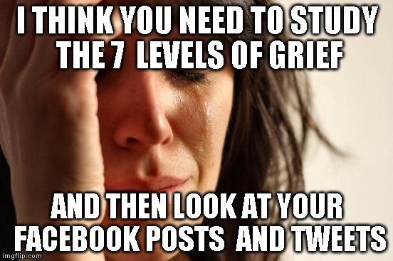 First World Problems Meme | I THINK YOU NEED TO STUDY THE 7  LEVELS OF GRIEF; AND THEN LOOK AT YOUR FACEBOOK POSTS
 AND TWEETS | image tagged in memes,first world problems | made w/ Imgflip meme maker