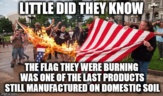 protesting democracy | LITTLE DID THEY KNOW; THE FLAG THEY WERE BURNING WAS ONE OF THE LAST PRODUCTS STILL MANUFACTURED ON DOMESTIC SOIL | image tagged in trump protesters | made w/ Imgflip meme maker