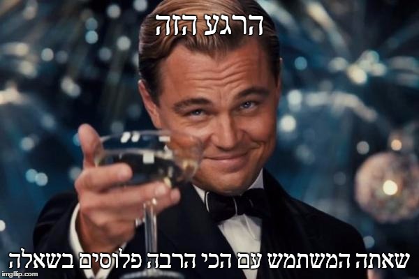 Leonardo Dicaprio Cheers Meme | הרגע הזה; שאתה המשתמש עם הכי הרבה פלוסים בשאלה | image tagged in memes,leonardo dicaprio cheers | made w/ Imgflip meme maker