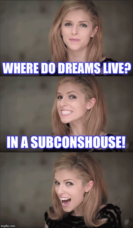 Bad Pun Anna Kendrick Meme | WHERE DO DREAMS LIVE? IN A SUBCONSHOUSE! | image tagged in memes,bad pun anna kendrick,dreams,bad pun | made w/ Imgflip meme maker