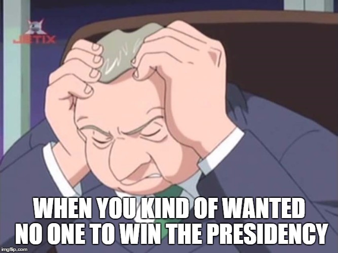Presidential Facepalm - Sonic X | WHEN YOU KIND OF WANTED NO ONE TO WIN THE PRESIDENCY | image tagged in presidential facepalm - sonic x | made w/ Imgflip meme maker