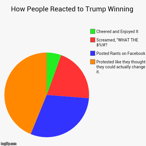 Trump Won! Can't believe the reactions | image tagged in funny,pie charts,donald trump,trump 2016,donald trump 2016,2016 election | made w/ Imgflip chart maker