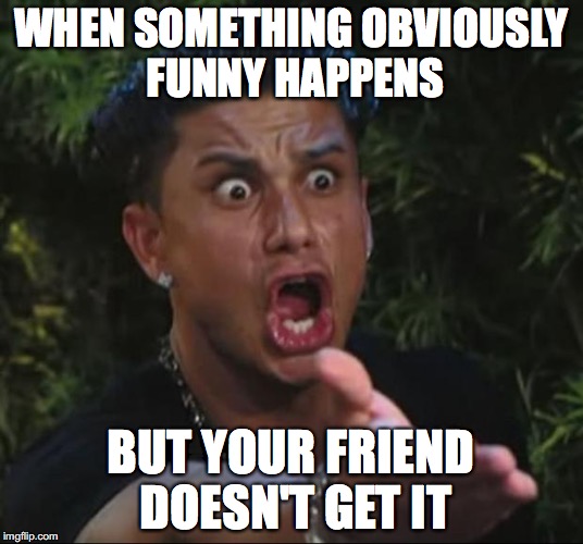 DJ Pauly D Meme | WHEN SOMETHING OBVIOUSLY FUNNY HAPPENS; BUT YOUR FRIEND DOESN'T GET IT | image tagged in memes,dj pauly d | made w/ Imgflip meme maker