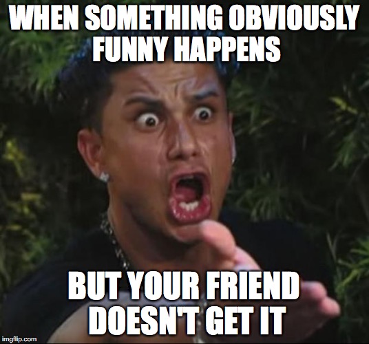 DJ Pauly D | WHEN SOMETHING OBVIOUSLY FUNNY HAPPENS; BUT YOUR FRIEND DOESN'T GET IT | image tagged in memes,dj pauly d | made w/ Imgflip meme maker