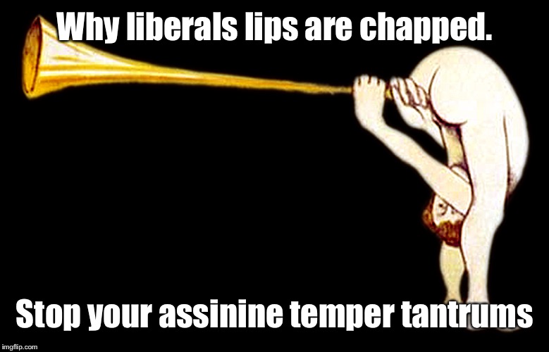 Why liberals lips are chapped. Stop your assinine temper tantrums | made w/ Imgflip meme maker
