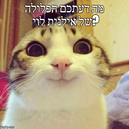 Smiling Cat Meme | מה דעתכם הפלולה של אילנית לוי? | image tagged in memes,smiling cat | made w/ Imgflip meme maker